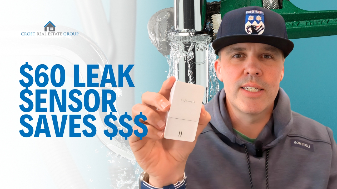Prevent Expensive Leak Repairs With This $60 Water Sensor